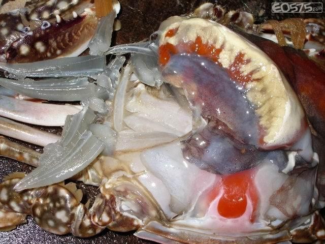 年货大礼包_海鲜年货组合_海鲜年货大礼包(3)