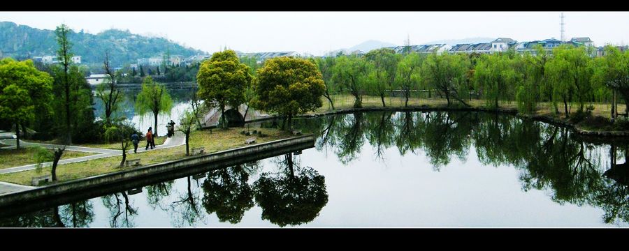 昨日绍兴齐贤羊山公园随拍