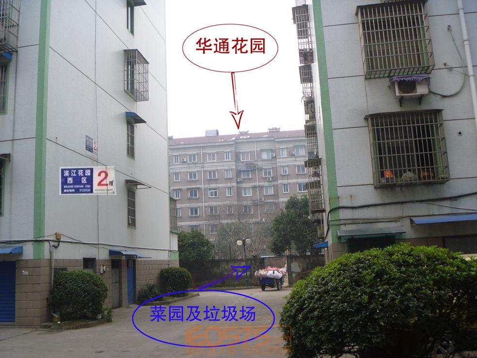 一个偶然的机会,意外地发现了在城南华通花园和滨江花园之间有一个