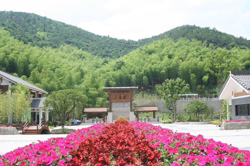 大香林桂花节 绍兴,柯桥公交直达