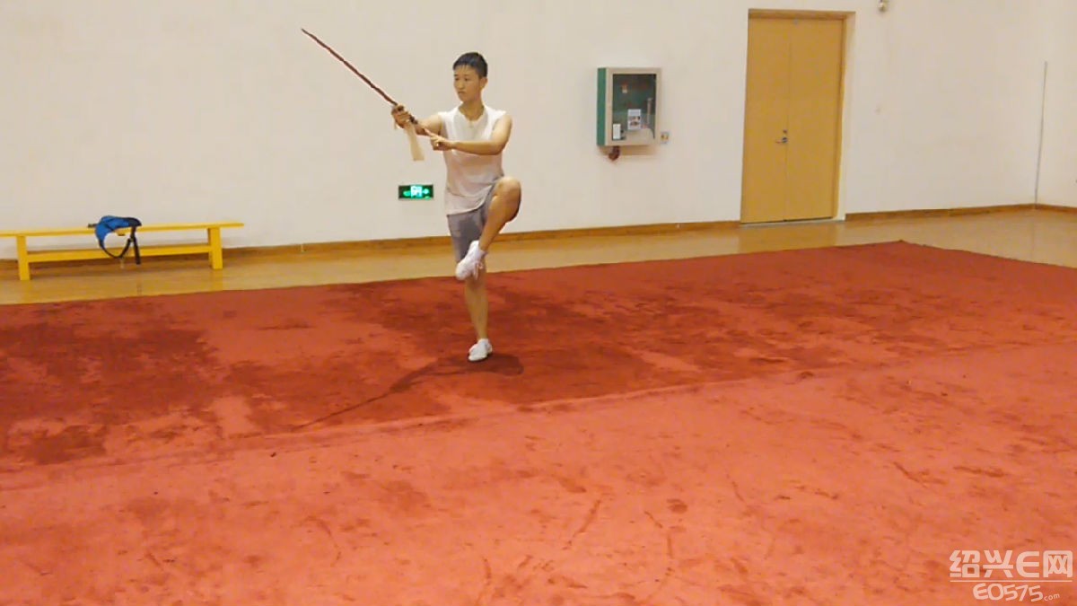 暑期教学太极拳太极剑、少儿武术基本功及武术