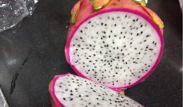 大象与猩猩真的坑爆了!-绍兴E网论坛