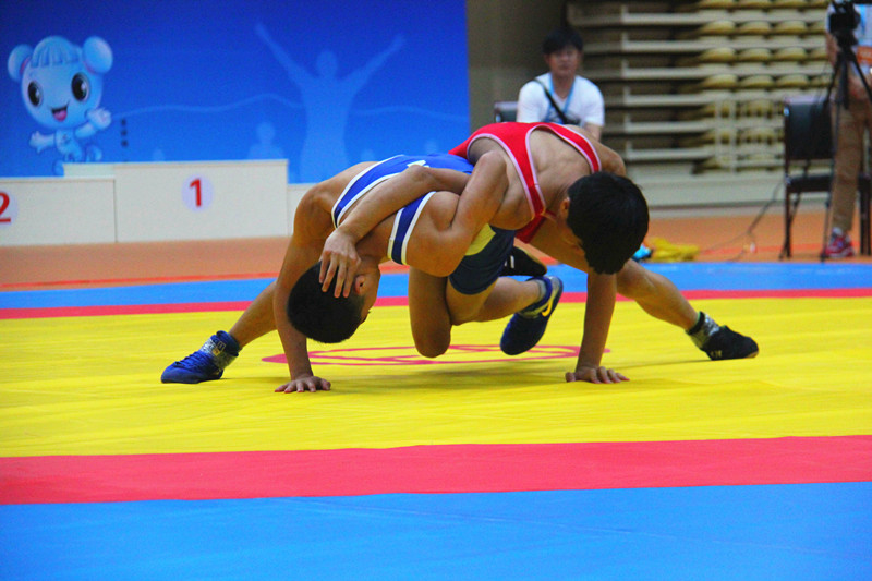浙江省第十五届运动会国际式摔跤比赛