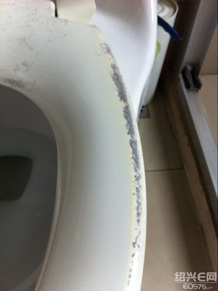 2008年新房装修,想马桶是硬件,要买得好一点,TOTO是个大品牌,价格虽贵,质量肯定好。2008年6月在绍兴东箭公司花了5550元买了2只TOTO马桶,其中1只GW894的马桶为3270元,1年后,马桶盖慢慢的变色,原本与马桶一样的白色渐渐变黄,更可悲的是座盖如霉斑一样的泛出来,任凭怎样清洗也搞不干净,至今已污迹斑斑,不堪入目。原本在买该马桶的时候想一分价格一分货,TOTO马桶比其它一般品牌的马桶要贵上许多,因为图的是质量而去买了这品牌的马桶,谁知5-6年用下来,竟连200、300元的马桶也不如。 与店