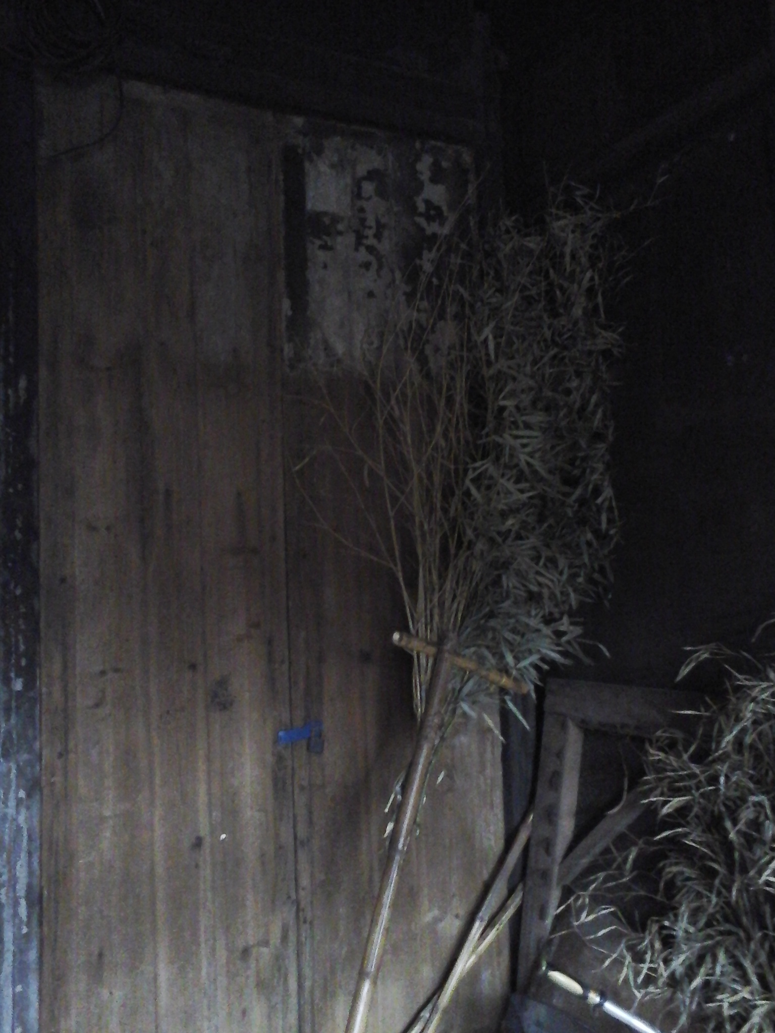 全新视角:再访绍兴姚启圣故居