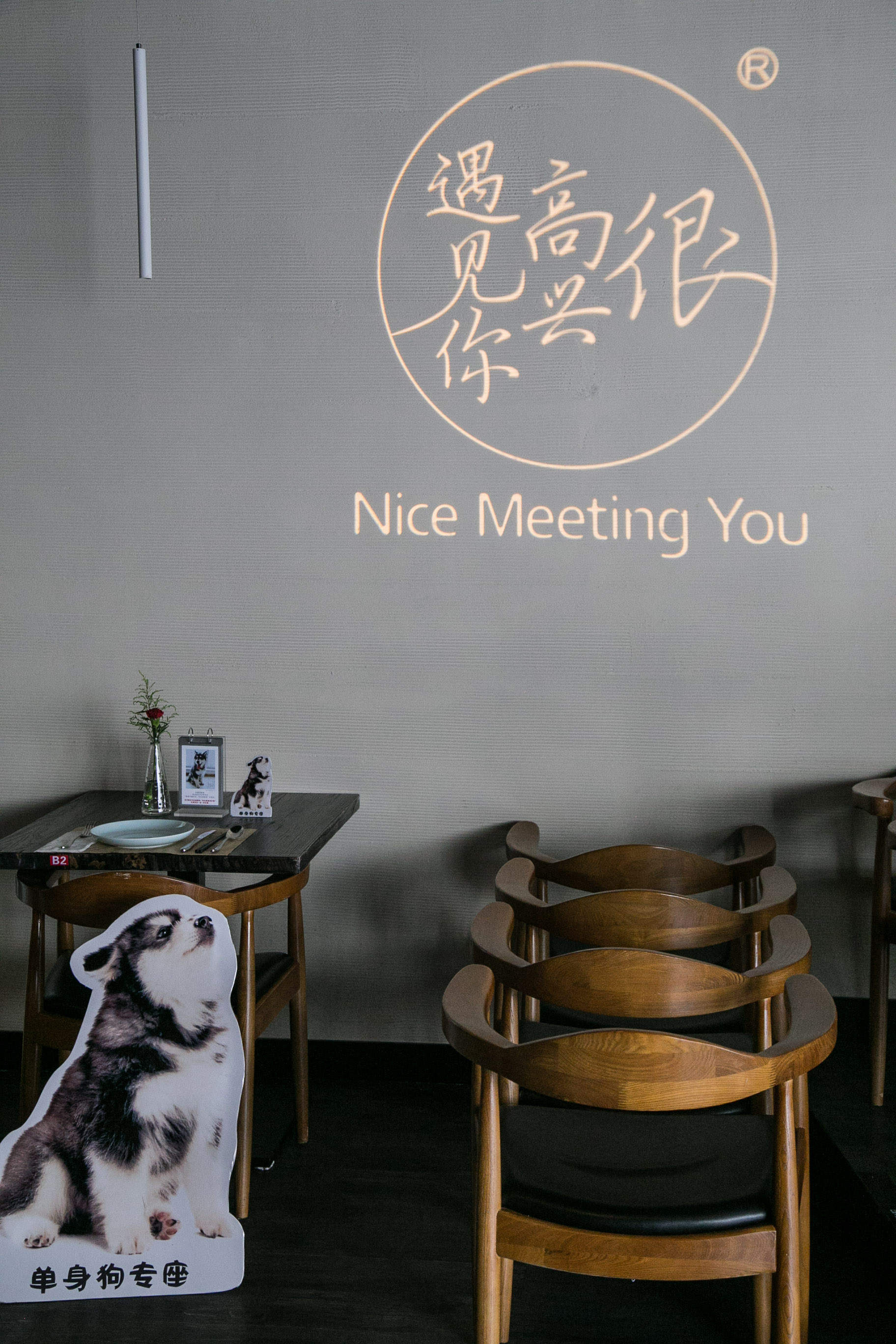很高兴遇见你!韩寒的爱犬马达加斯加媒体粉丝见面会