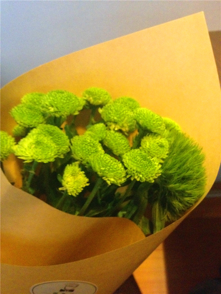 【十月记】佳节,家常,绿雏菊