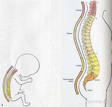 宝宝需要枕头吗?处理不当伤及性命