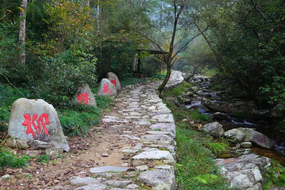 初探钱江源枫楼坑