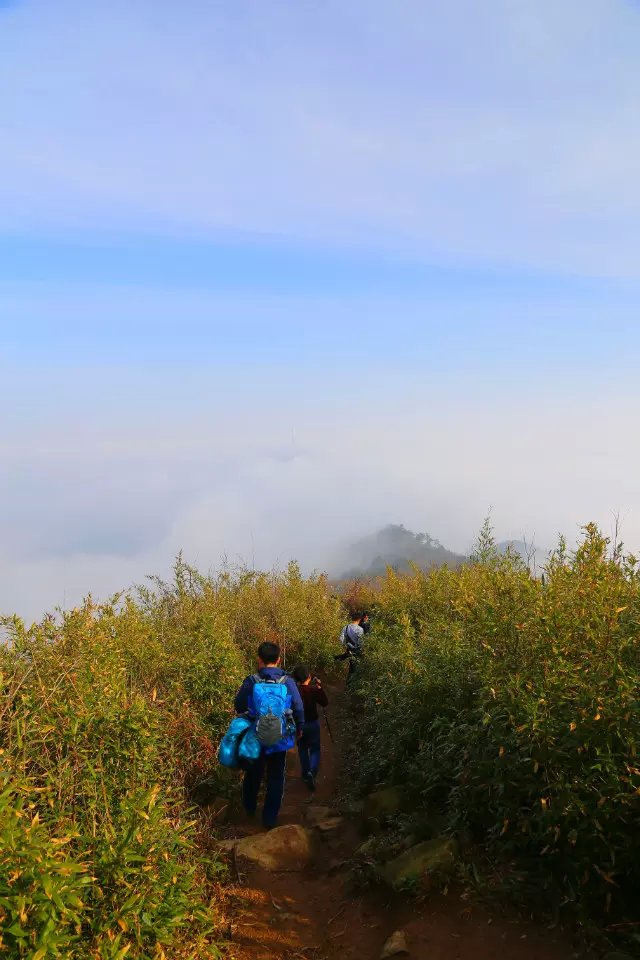 诸暨陶朱山家门口的缥缈峰