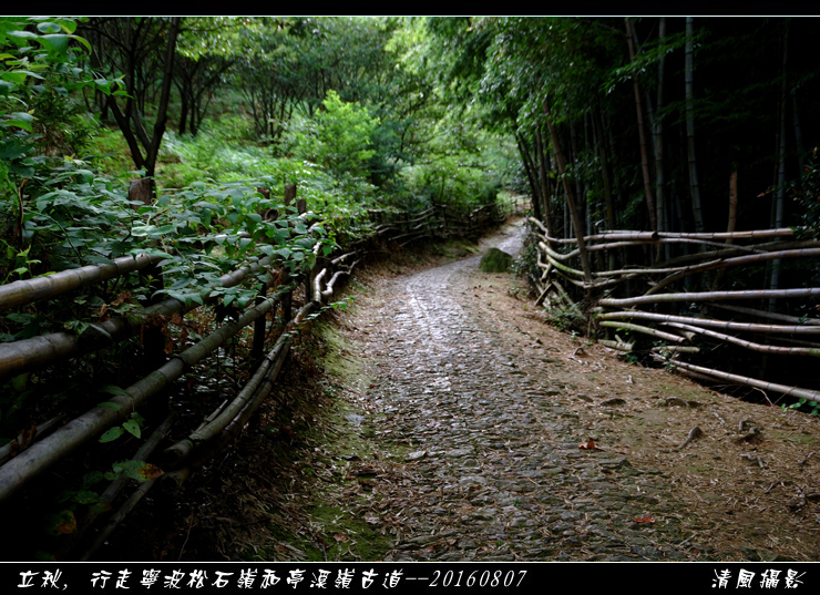 立秋,行走宁波松石岭和亭溪岭古道