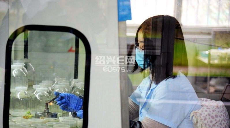 安徽农民撞脸普京_安徽农民纯收入(3)