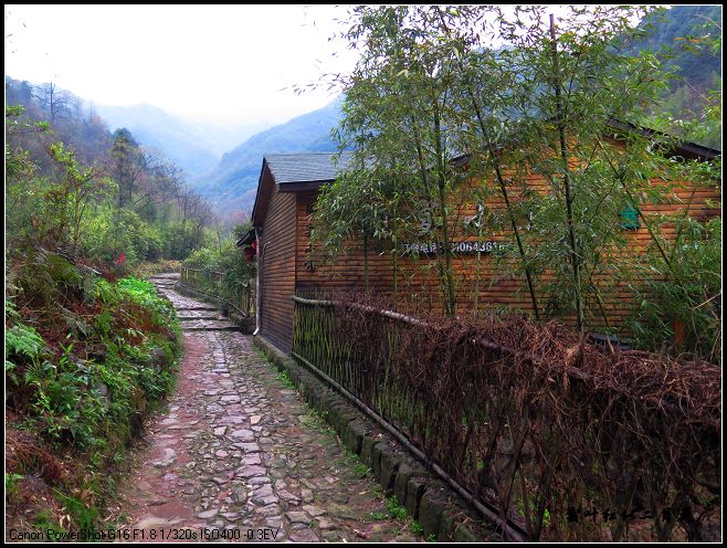 陶隐岭古道枫林醉