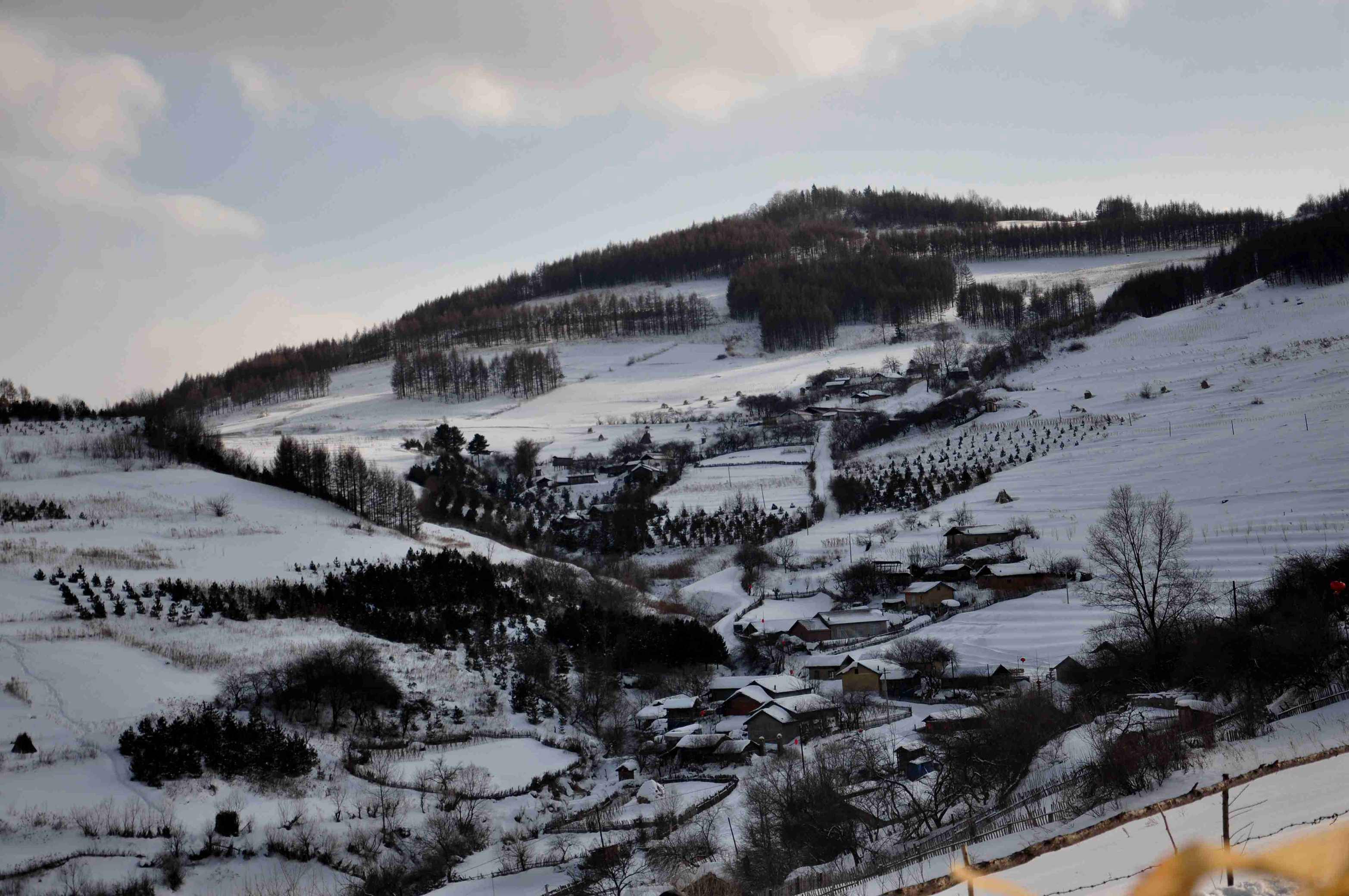 东北印象,林海雪原中的一片净土——雪村