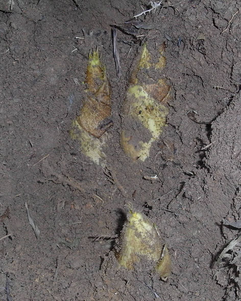 上虞特产|商都上虞 - 绍兴E网论坛