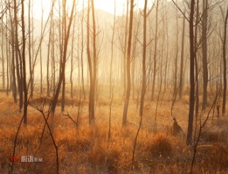 <em>头发烫</em>后三天,很不满意,想<em>拉直</em>,|购物时尚 - 绍兴