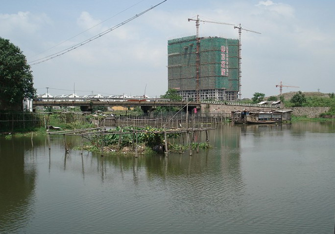 16 大滩新貌|图说绍兴(摄友圈) - 绍兴e网论坛 - 绍兴地方门户网站