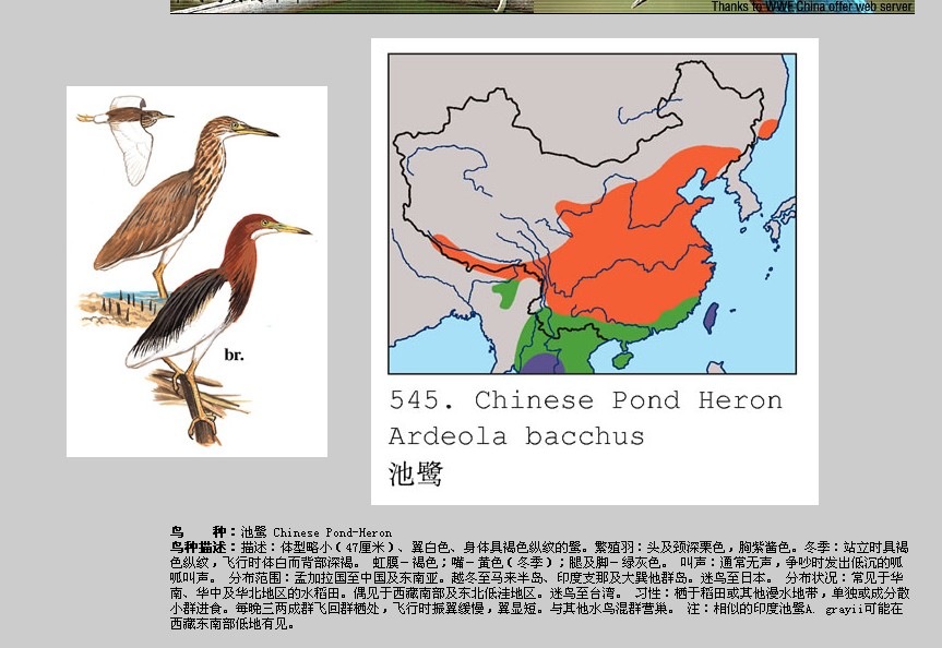 请您帮它找妈妈!