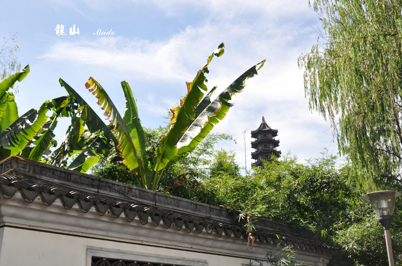 2010/09/04 上午 河清园掠影|摄影天地 - 绍兴e网论坛 - powered by