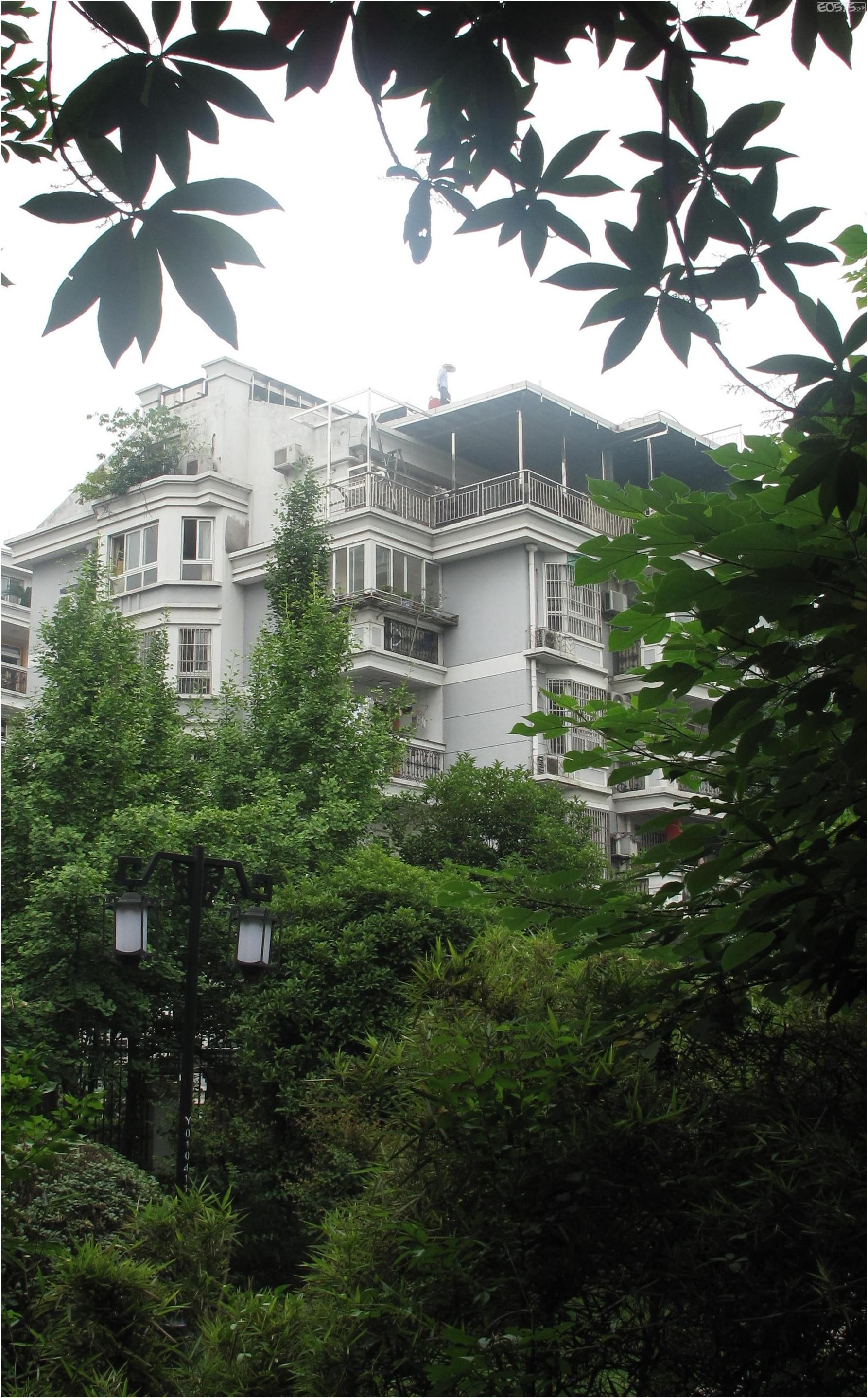 屋顶上造房子啊,没人管啊!