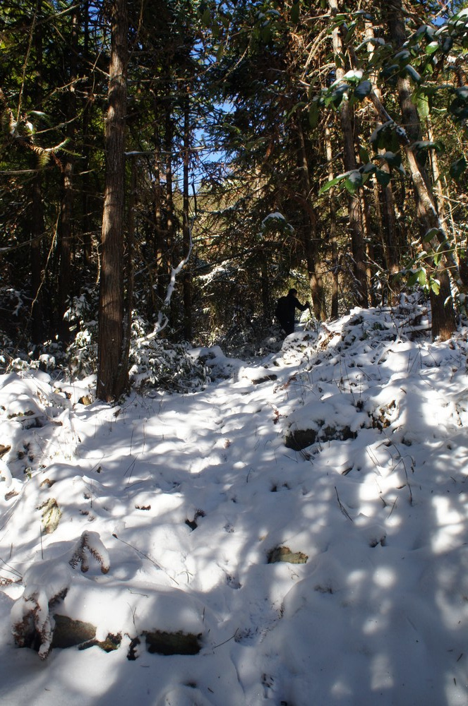 万类霜天竞自由——记2013年新年第一登 遂昌九龙山,白马山之行