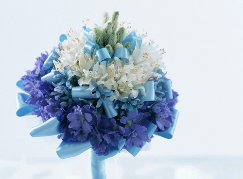 今天是我的生日