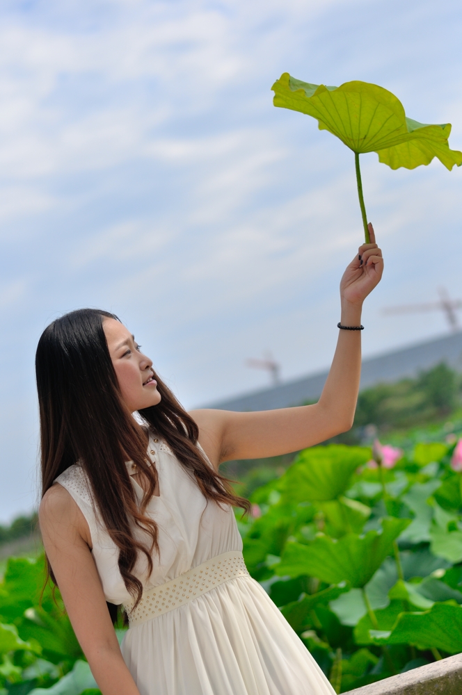 荷塘仙子--姣姣姑娘