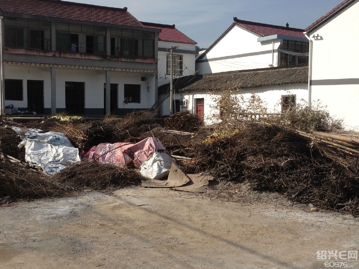 请各位网友欣赏柯桥区王坛镇东村村村环境改造与墙面涂白效果图