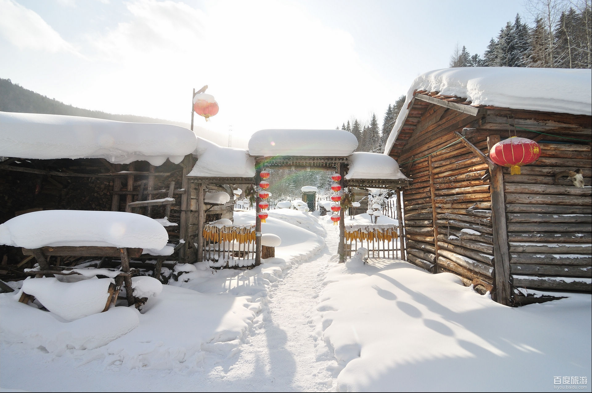 千里冰封万里雪飘