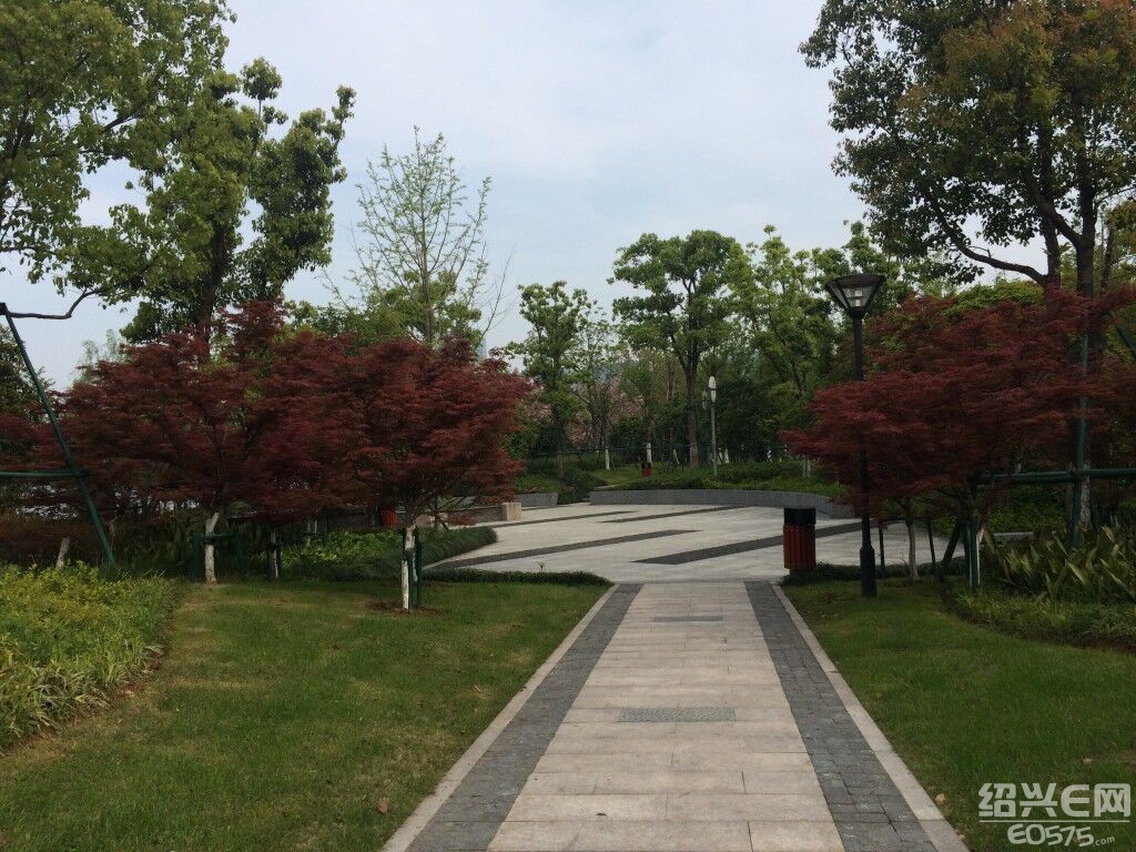 瓜渚湖公园樱花第二季