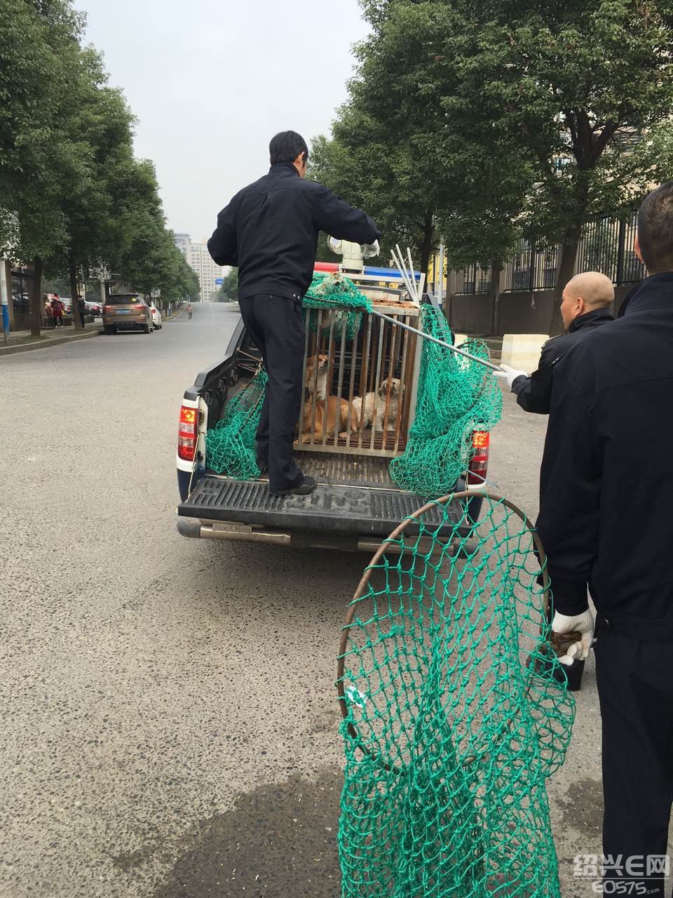 名人广场河对面润河南岸花城抓狗啦