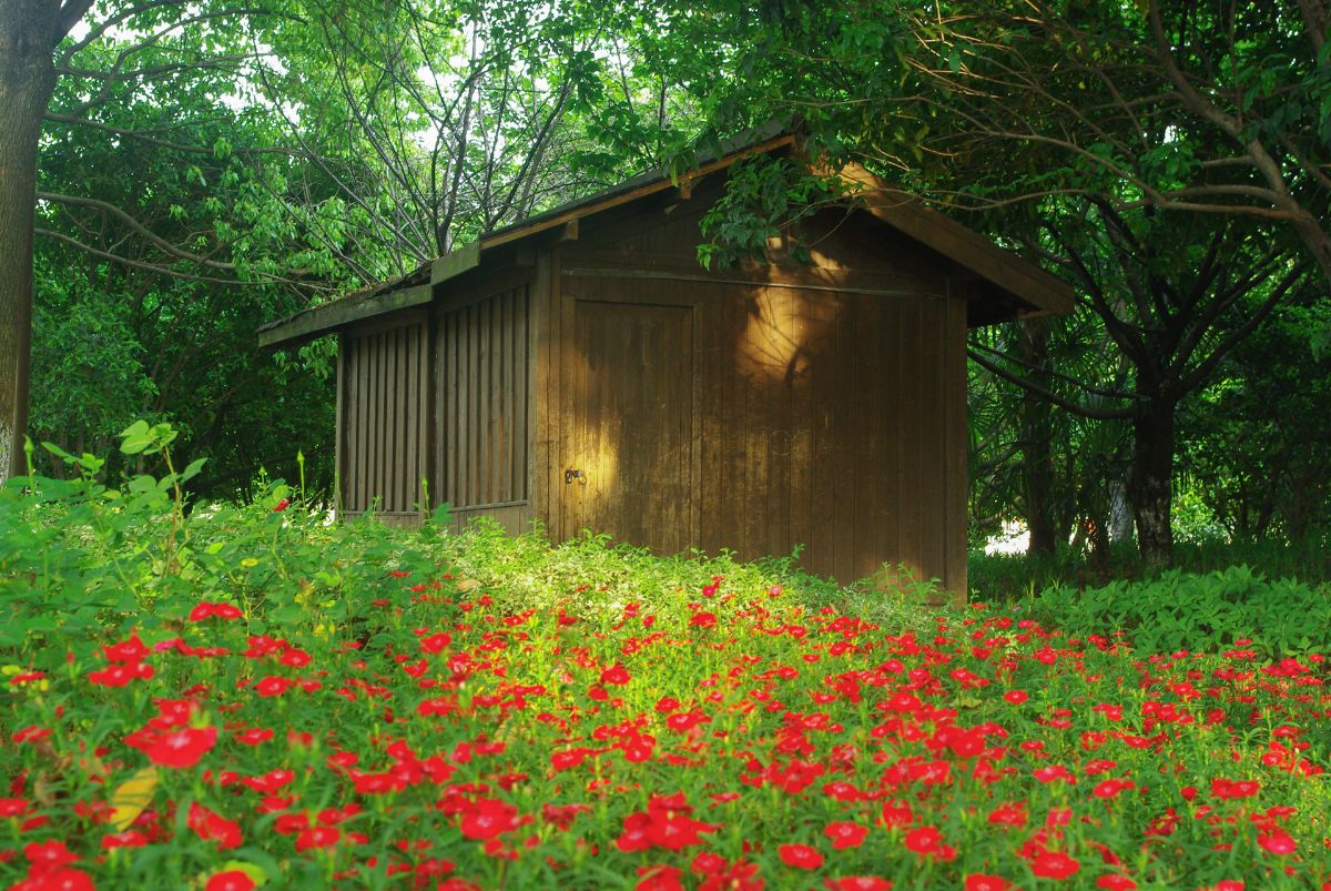 21鹿湖園百花園|圖說紹興 - 紹興e網論壇 - 紹興地方門戶網站 - 紹興