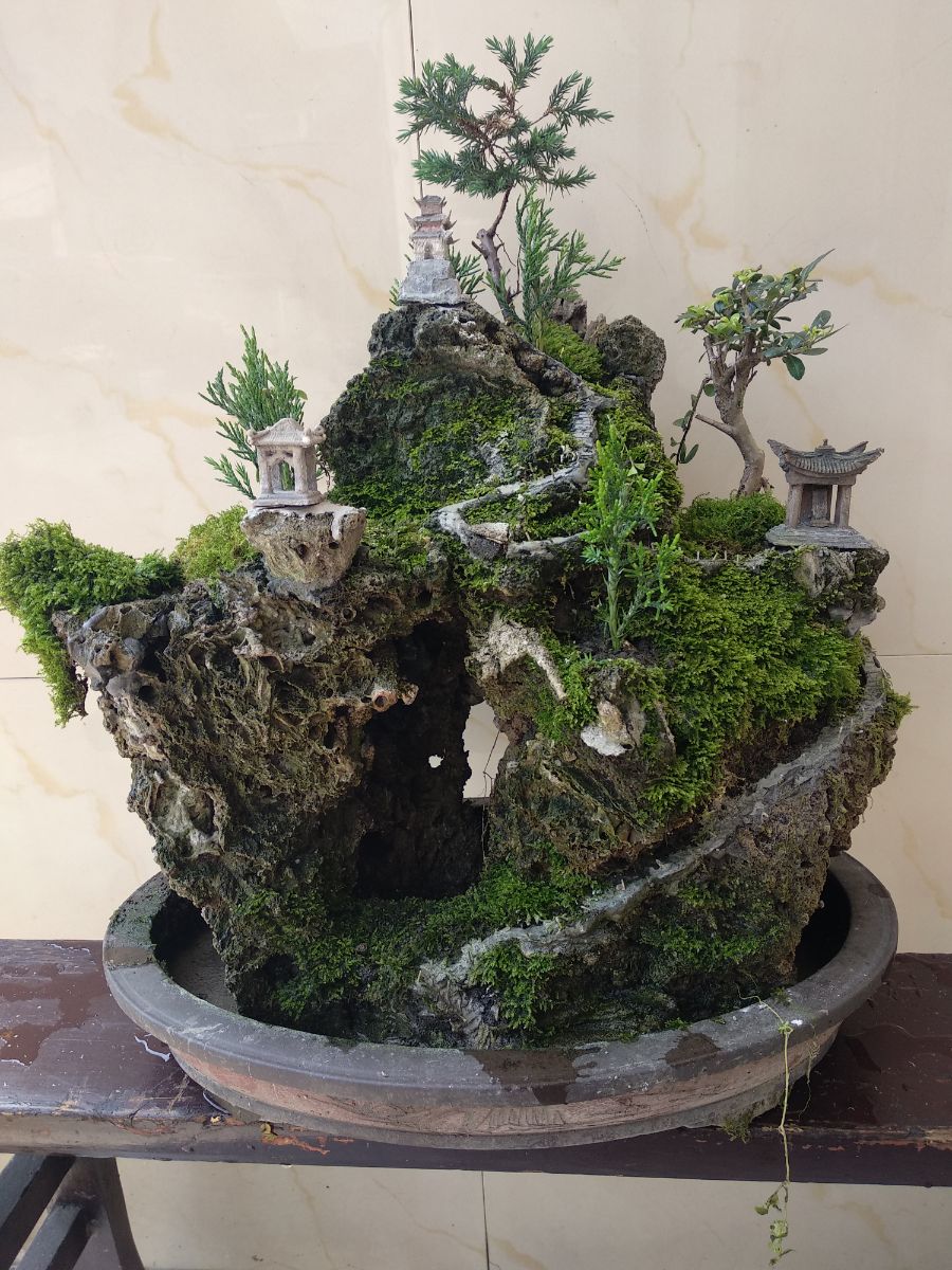 5.1木化石盆景
