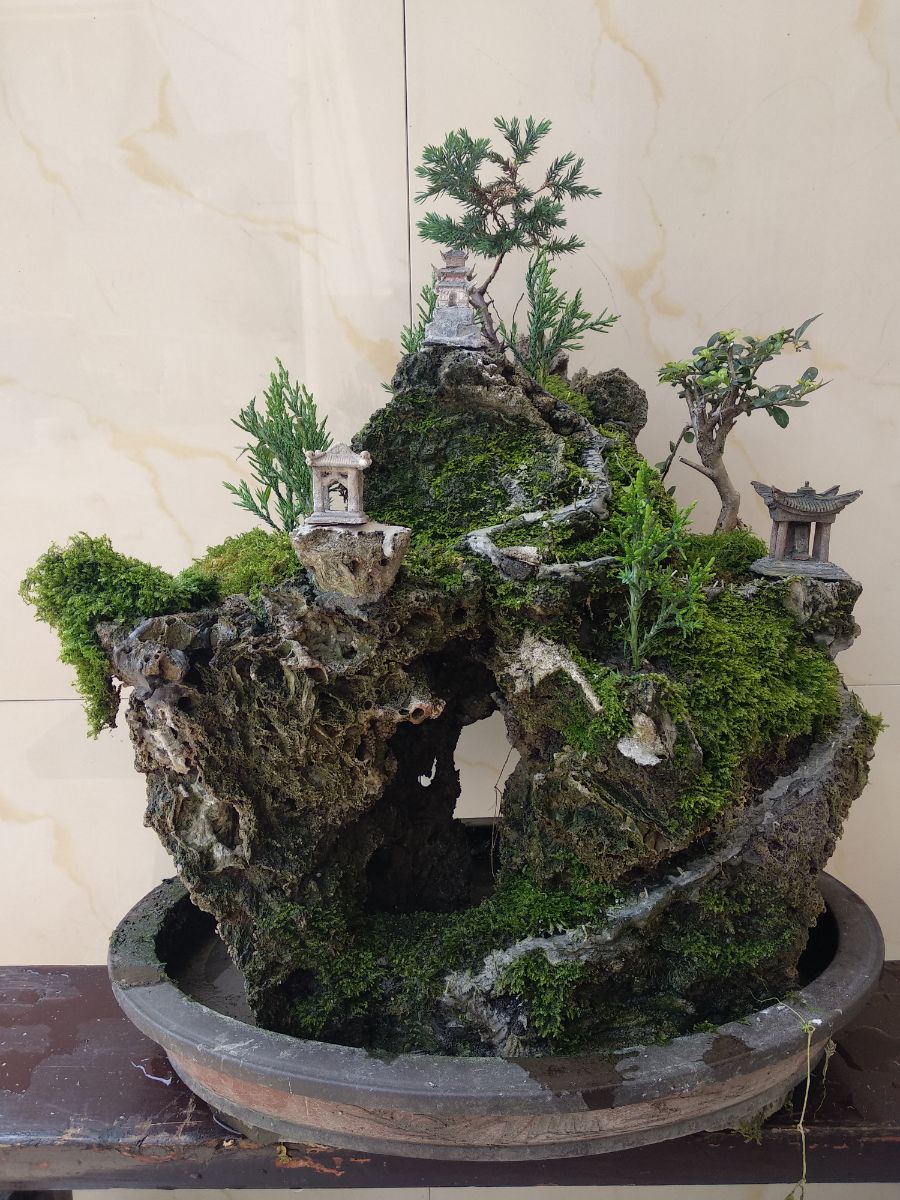 5.1木化石盆景