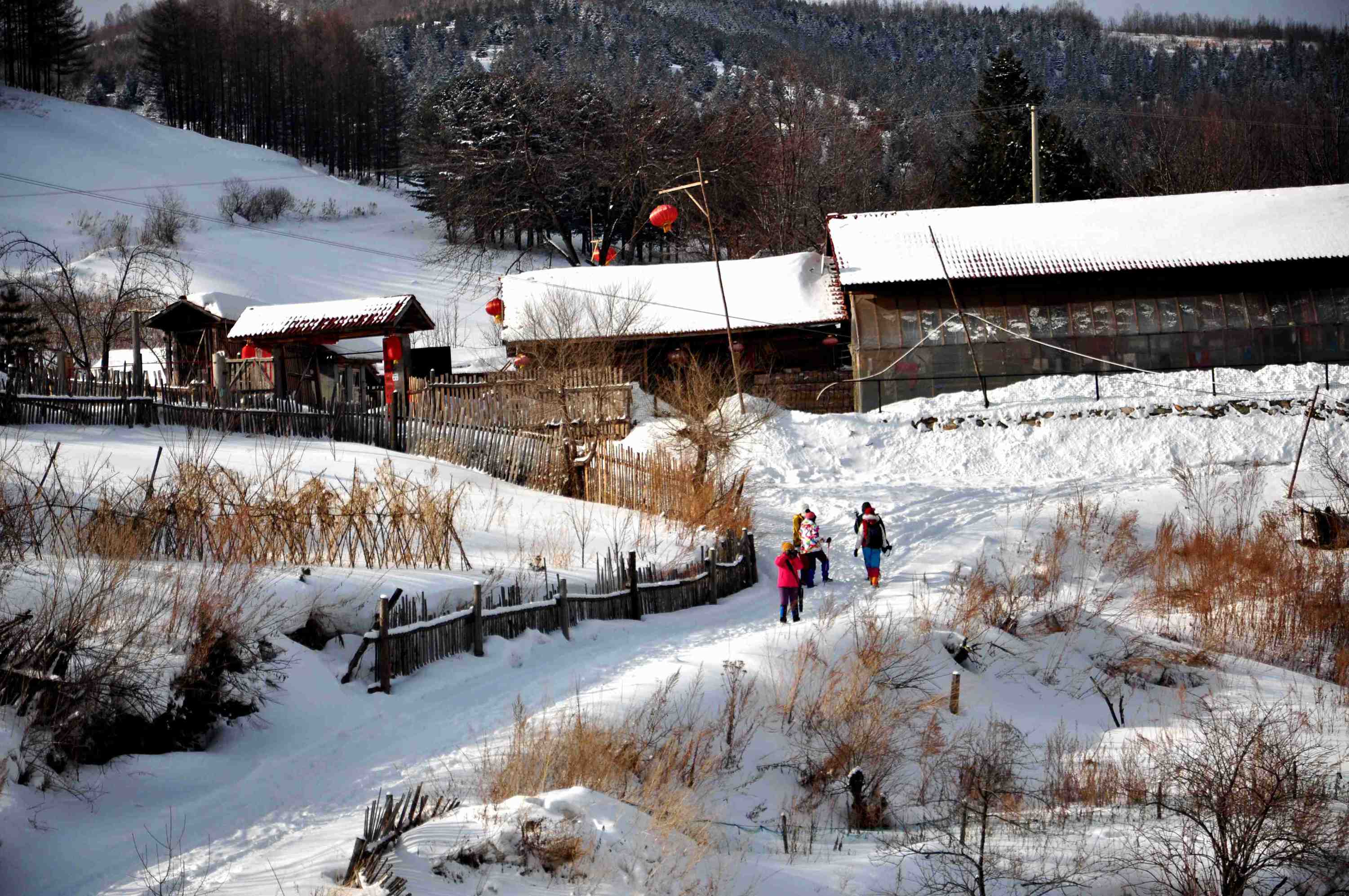 東北印象,林海雪原中的一片淨土——雪村