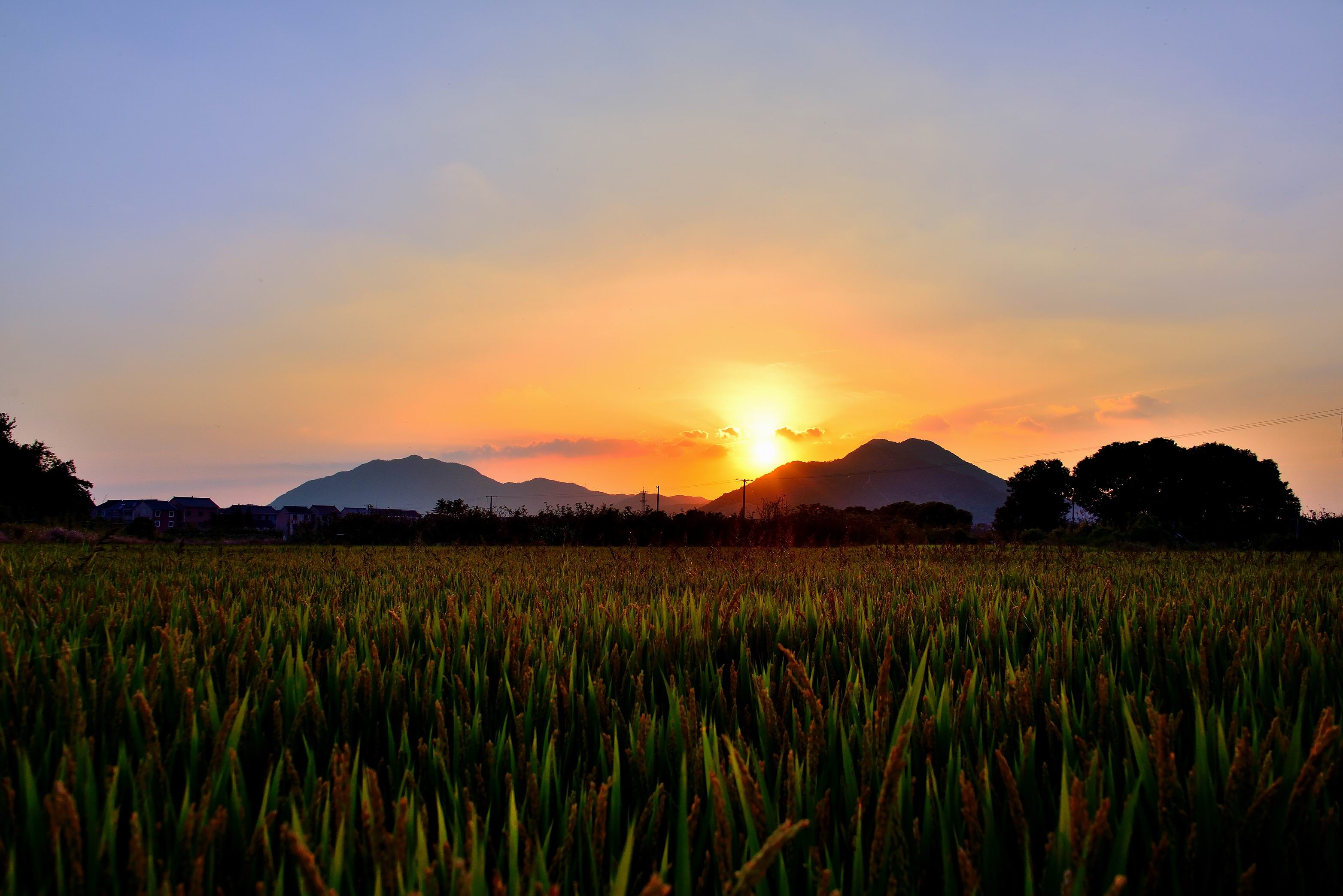 田园夕照