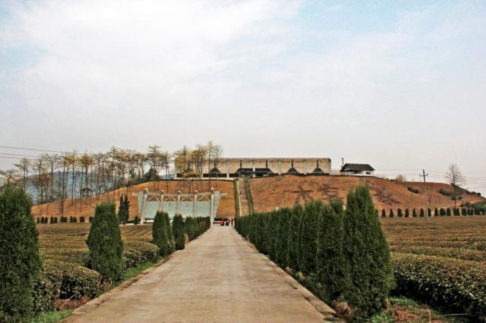   印山越国王陵于1996年8月底起,由省考古研究所和绍兴县